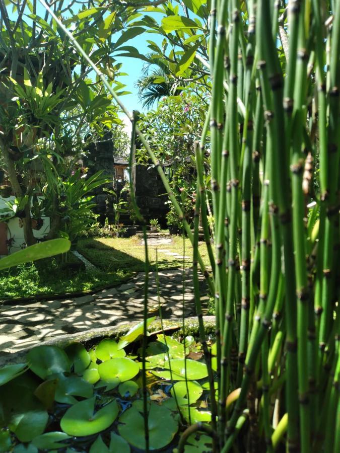 Serongga Guest House Lebih Luaran gambar