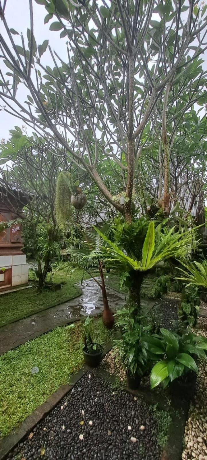 Serongga Guest House Lebih Luaran gambar